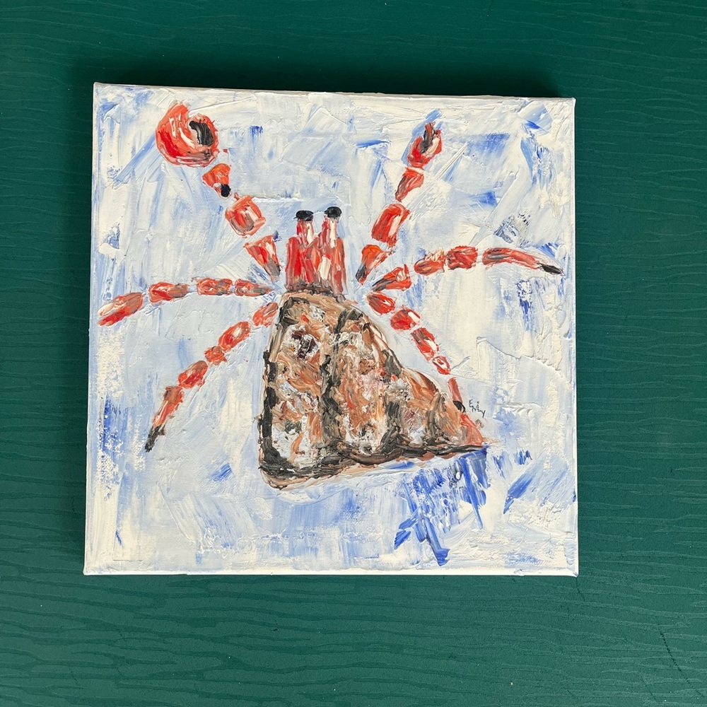 Original Crab Oil Painting Art Nautical Coastal Cottage 12”x 12”
